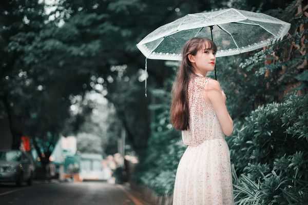 雨过天晴，清新怡人