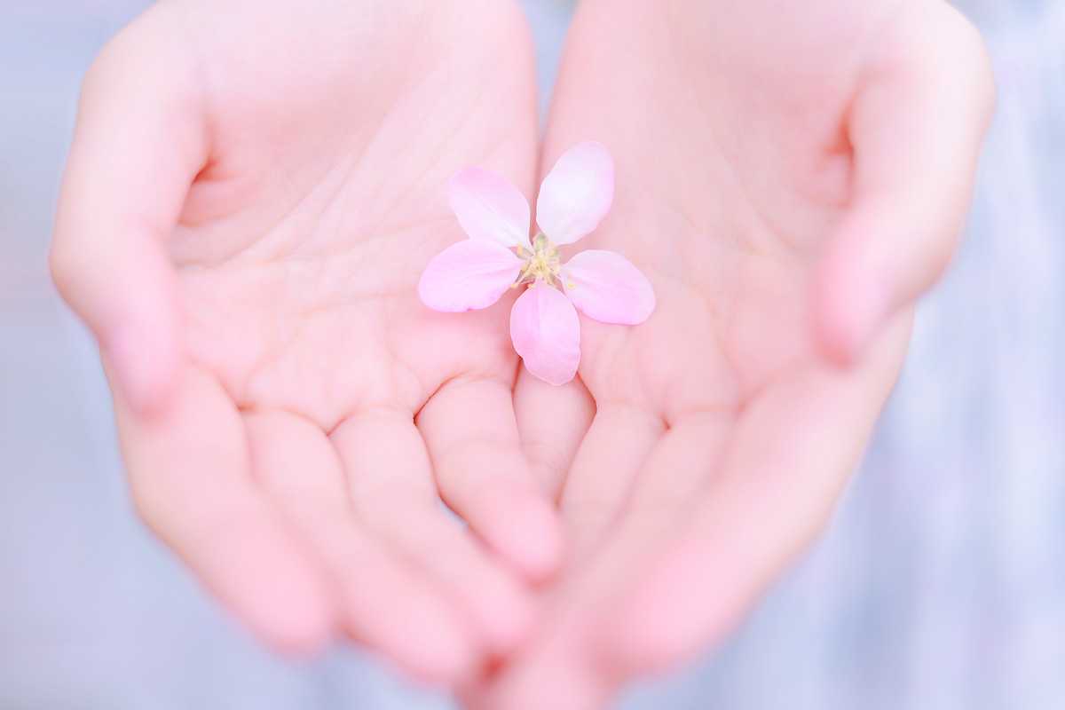 初春相见，盼与你共度时光