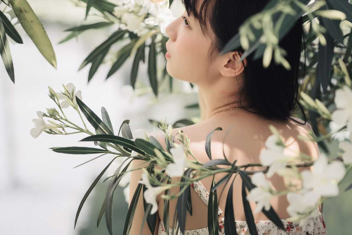 夹竹桃的神秘之谜