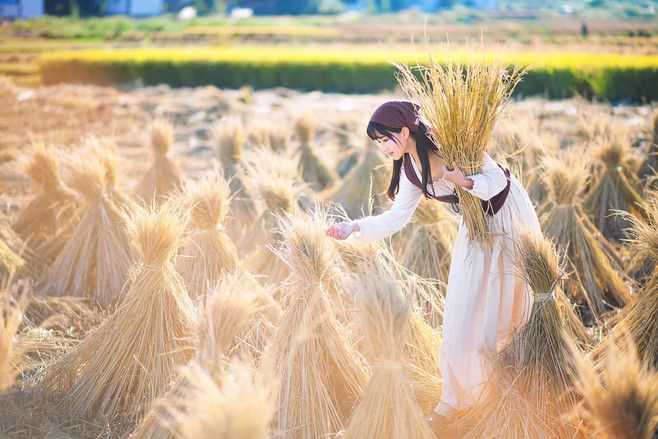 金色麦田的女孩