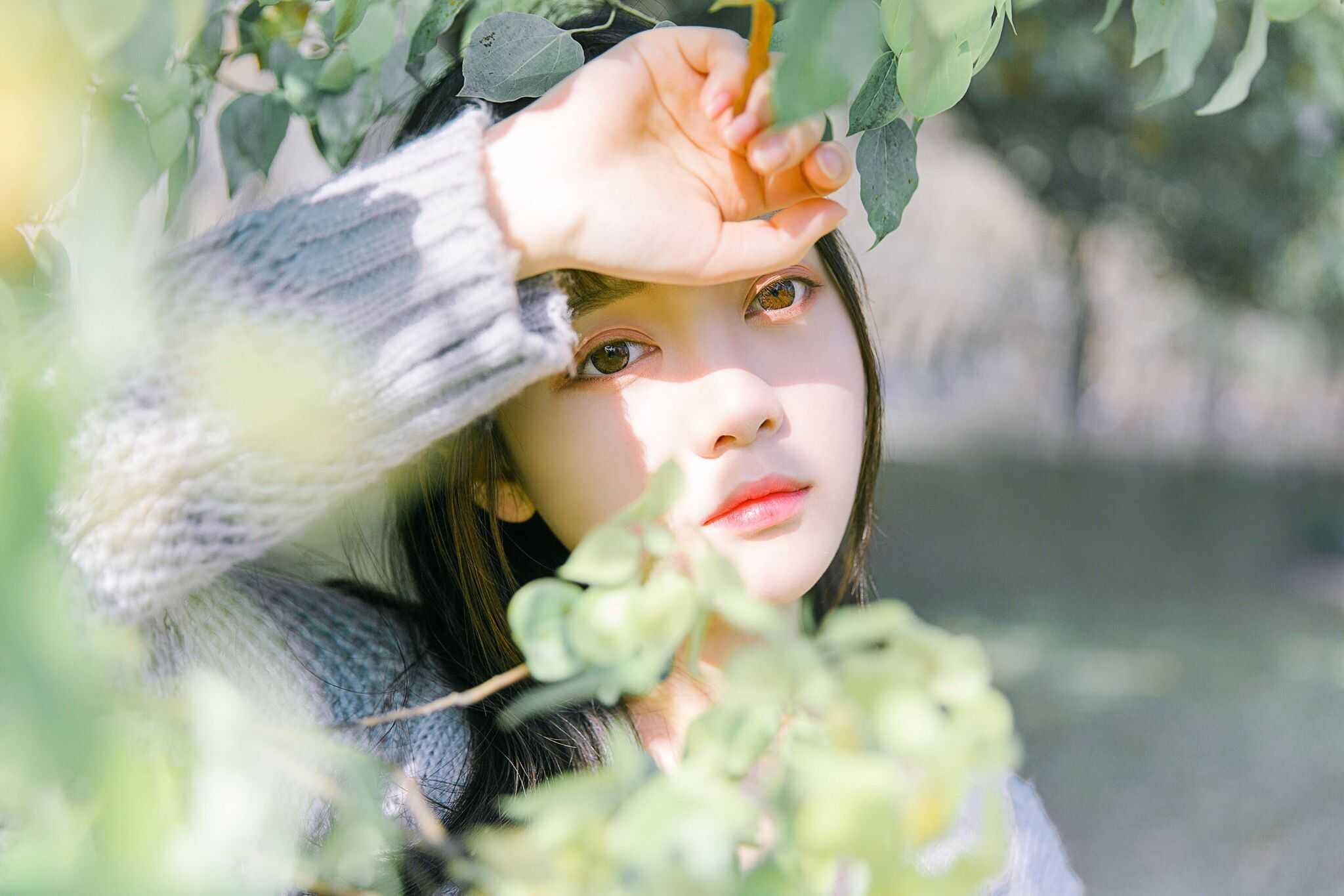 清新少女：青柠味道