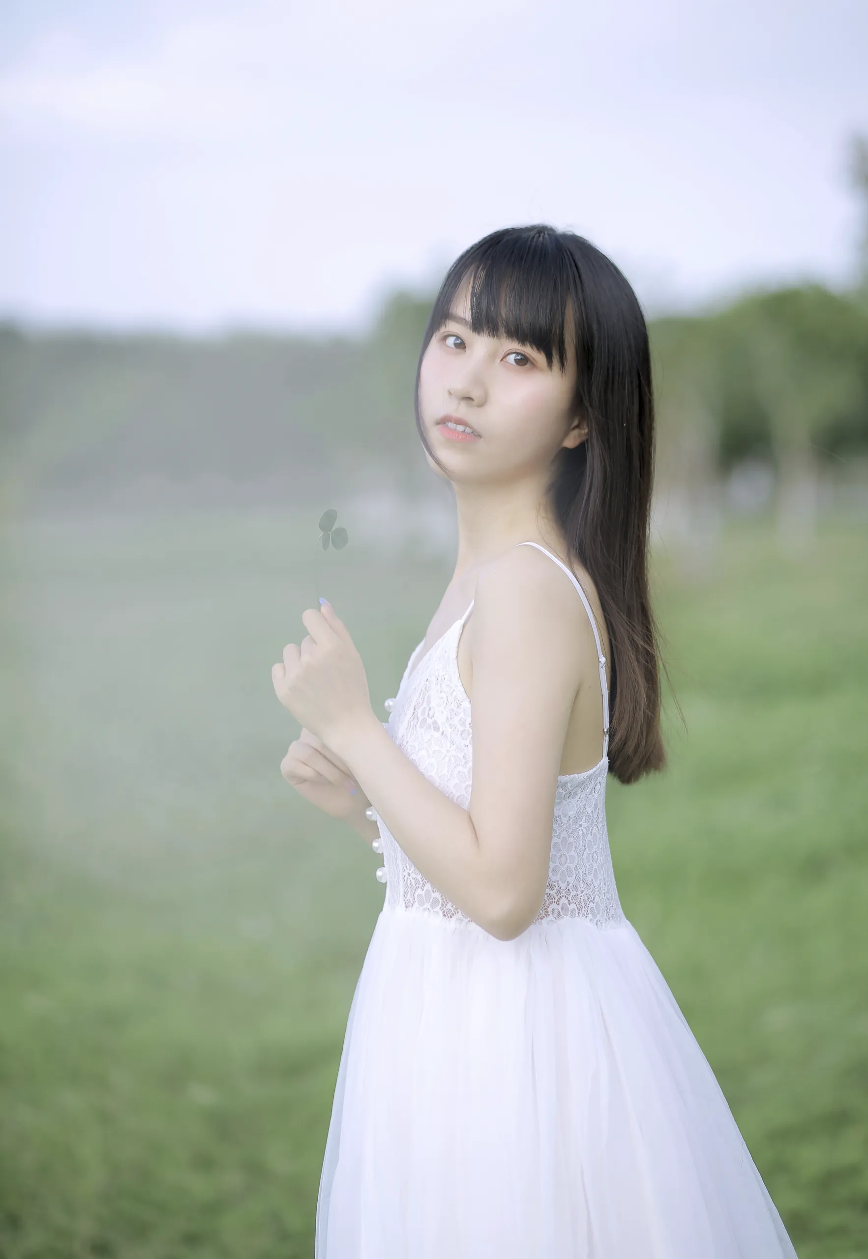美丽的绿草地