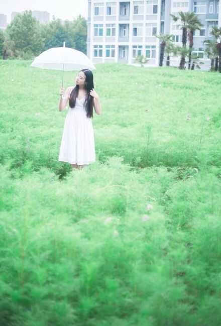 清凉夏日的薄荷