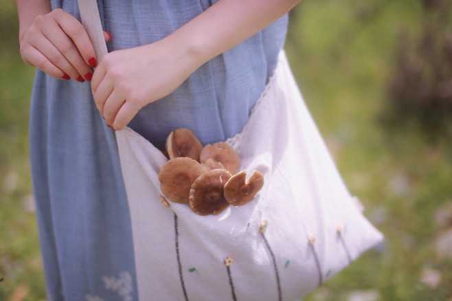 入菲菲，吸引你的心