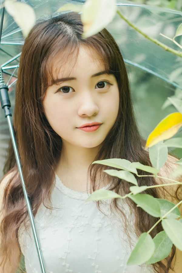 雨季八月，悠然落下