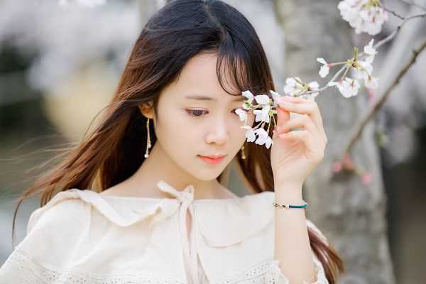 百里樱花，三世情缘