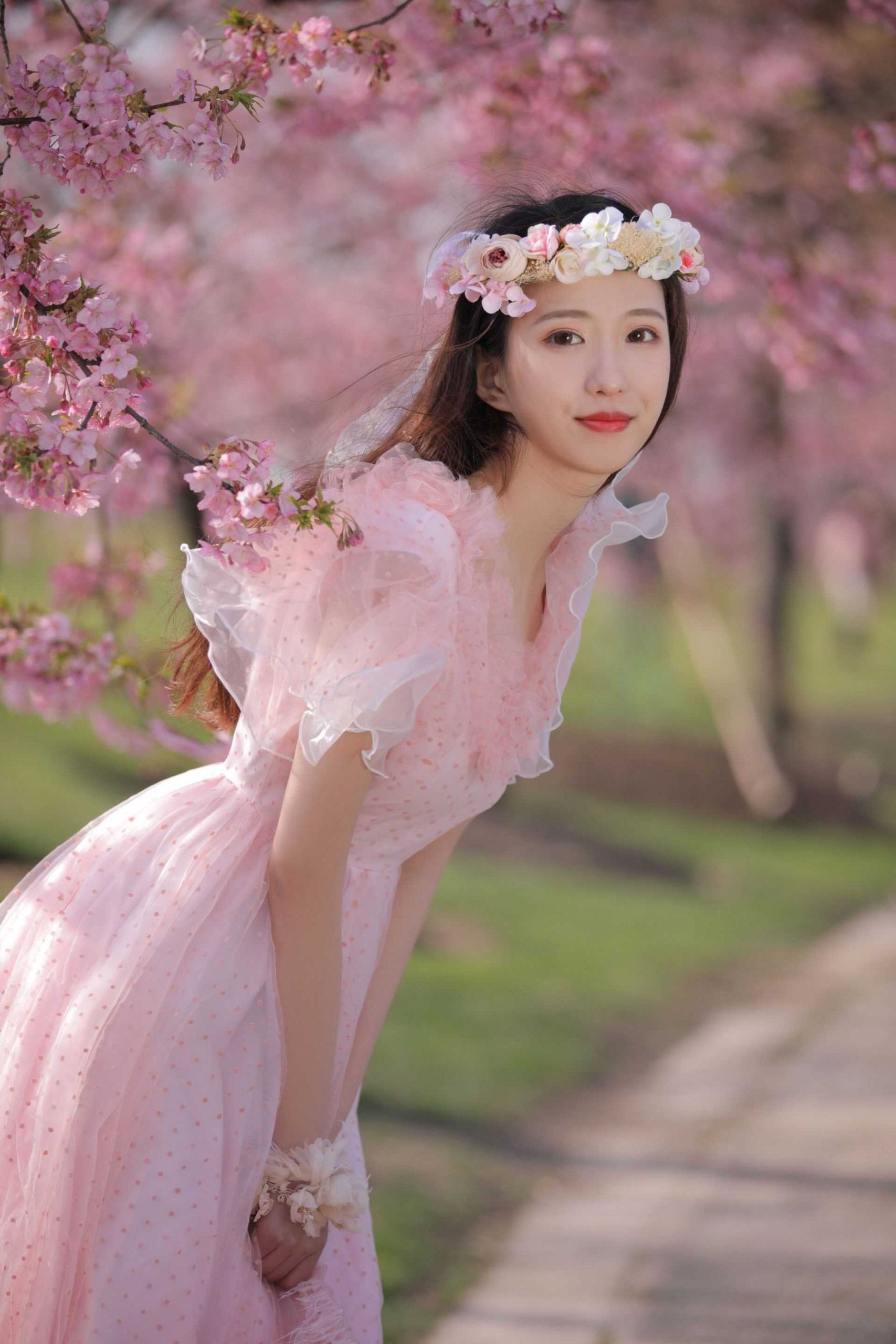 美丽的樱花盛开了