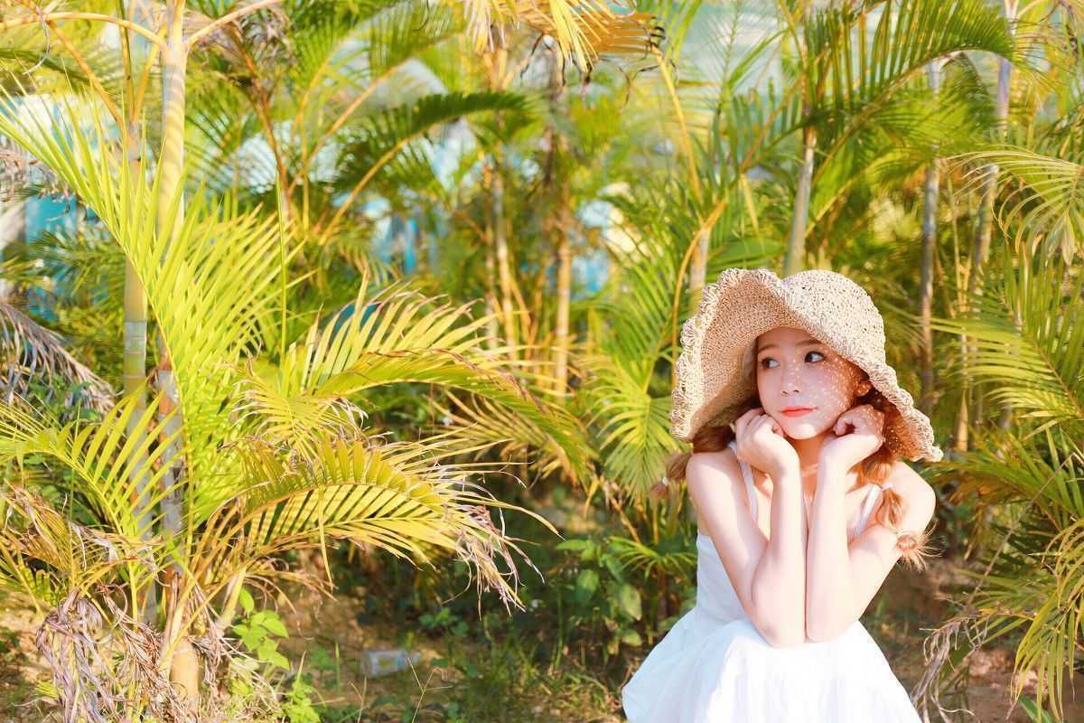 温暖的夏日阳光