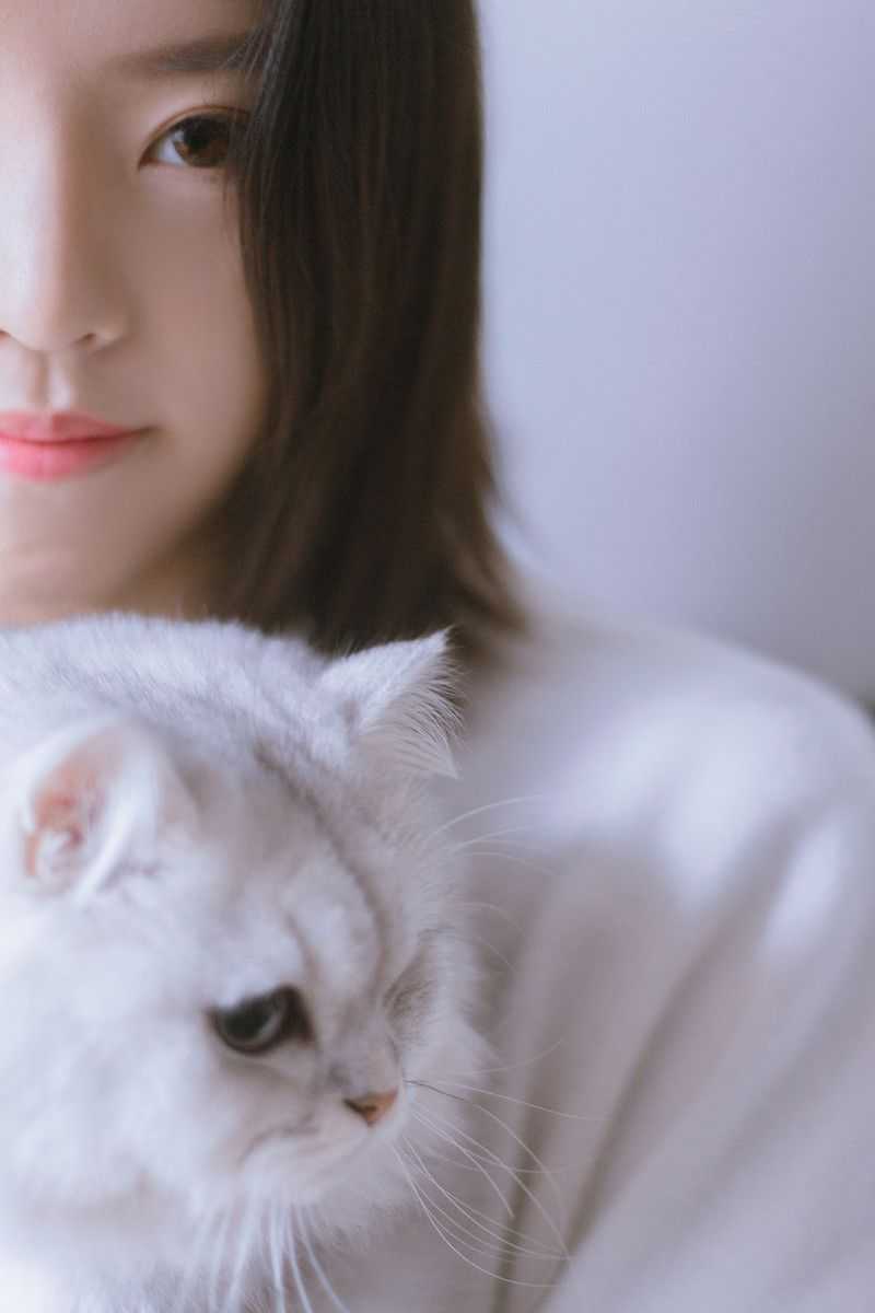 第三种绝色