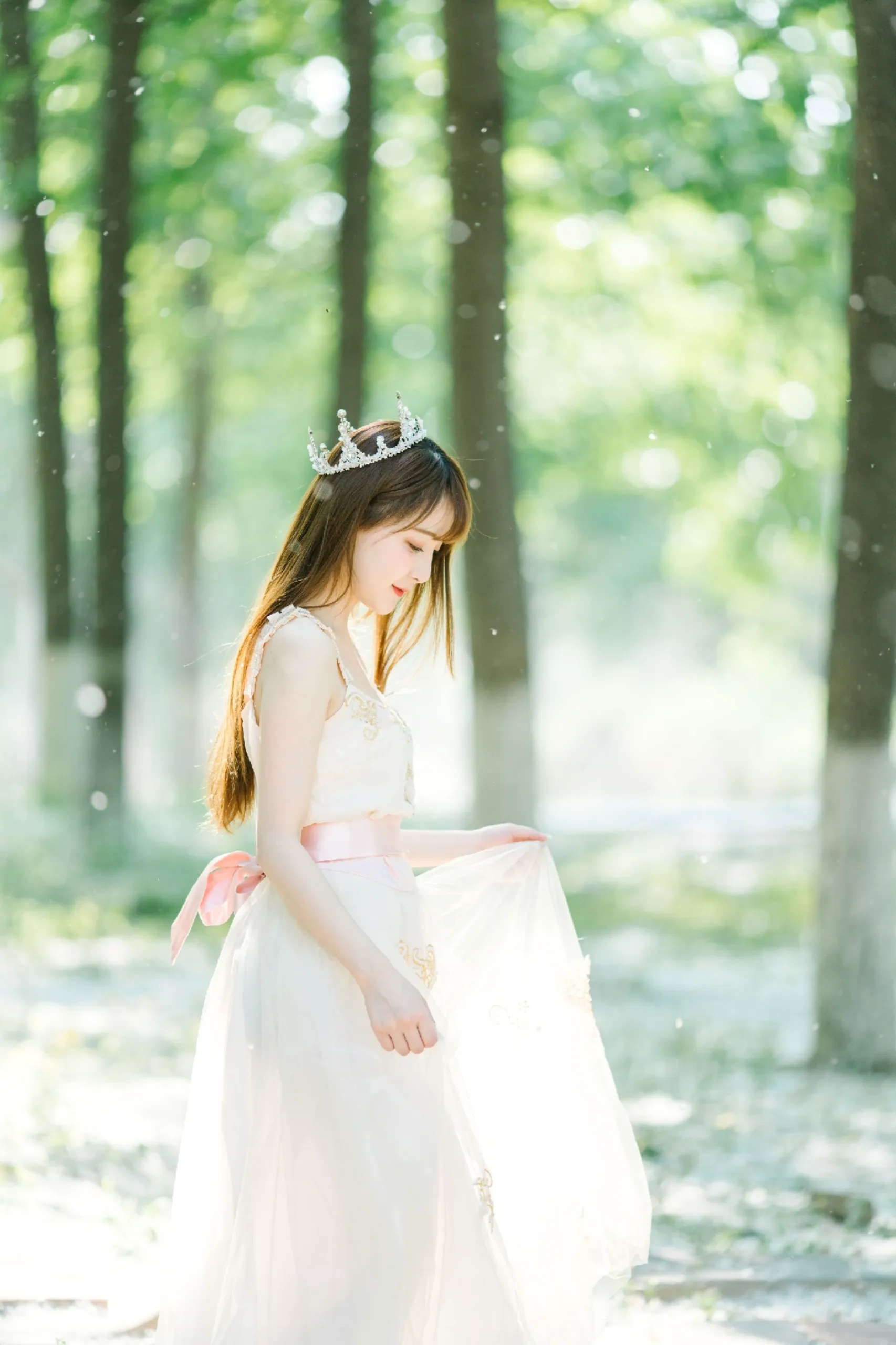 神秘的绿光森林