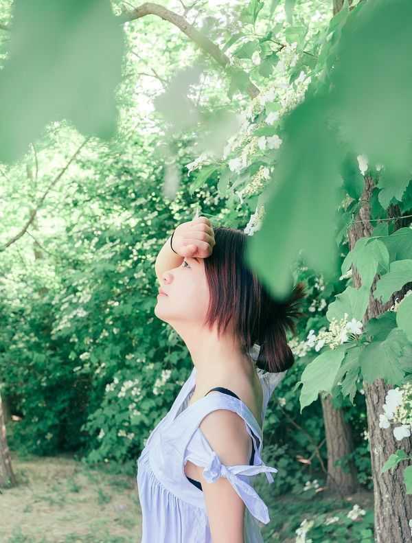 小森林·盛夏之光