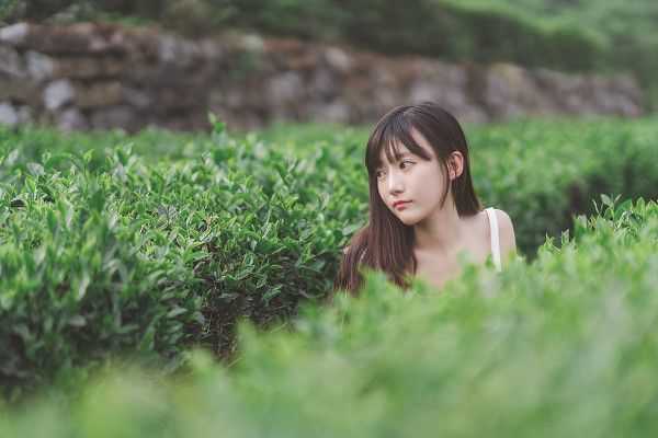 夏日里的青春回忆