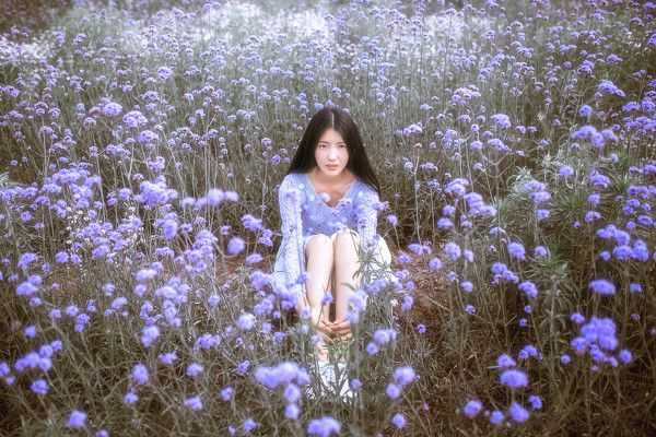 红尘紫陌拂面来