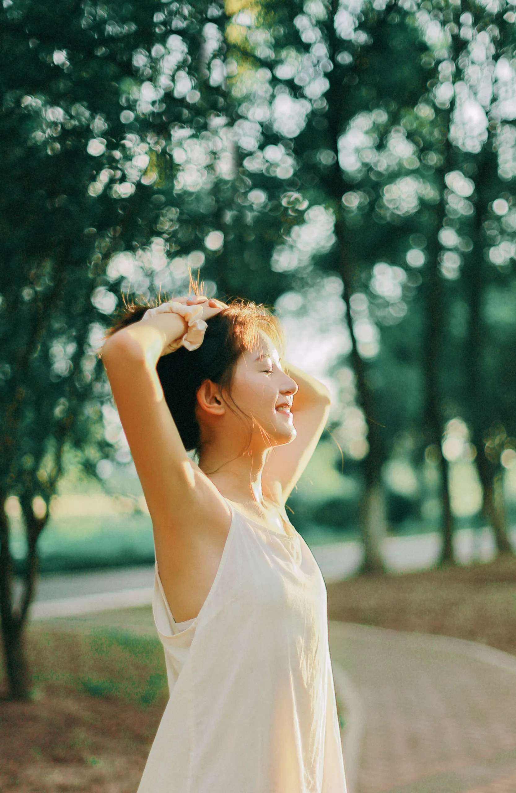 美丽的黄昏