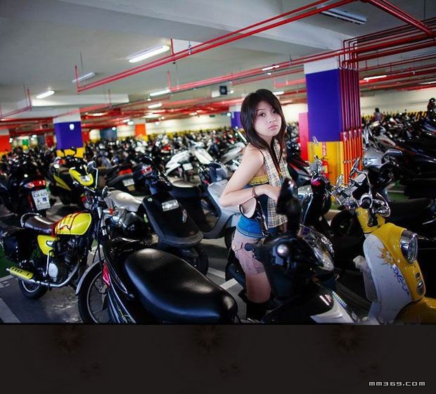 高级车库的美丽景色