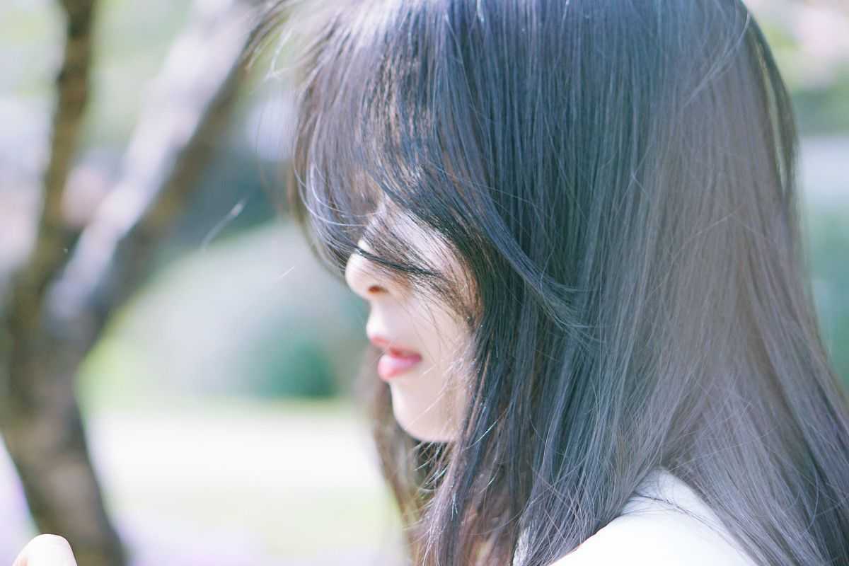 樱花树下，美丽的春日时光