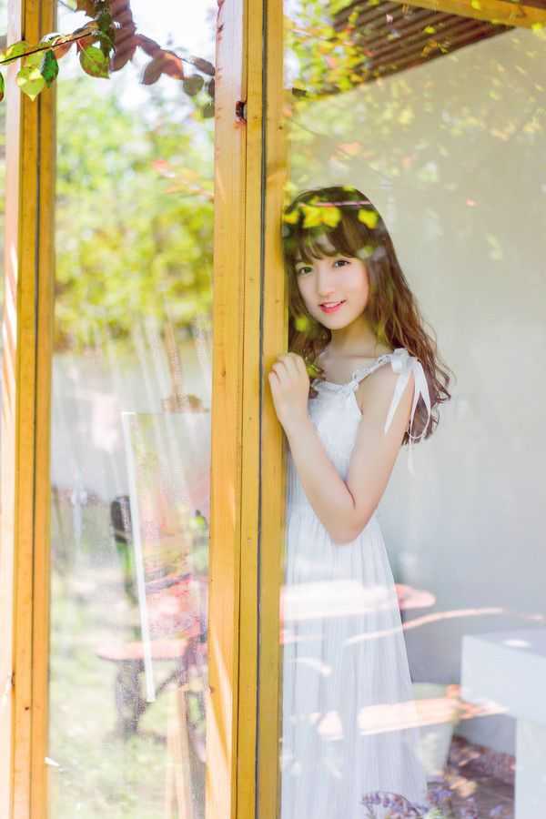 清新自然的森林风